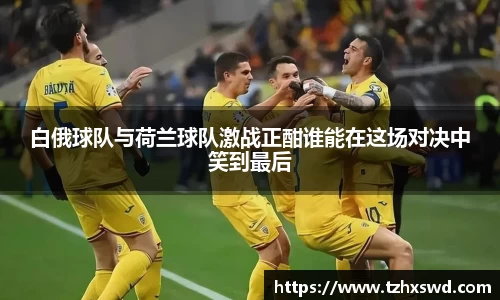 白俄球队与荷兰球队激战正酣谁能在这场对决中笑到最后