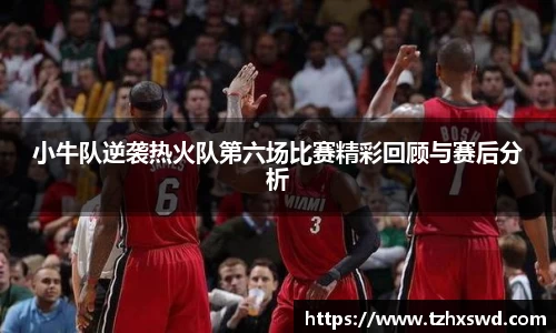 小牛队逆袭热火队第六场比赛精彩回顾与赛后分析